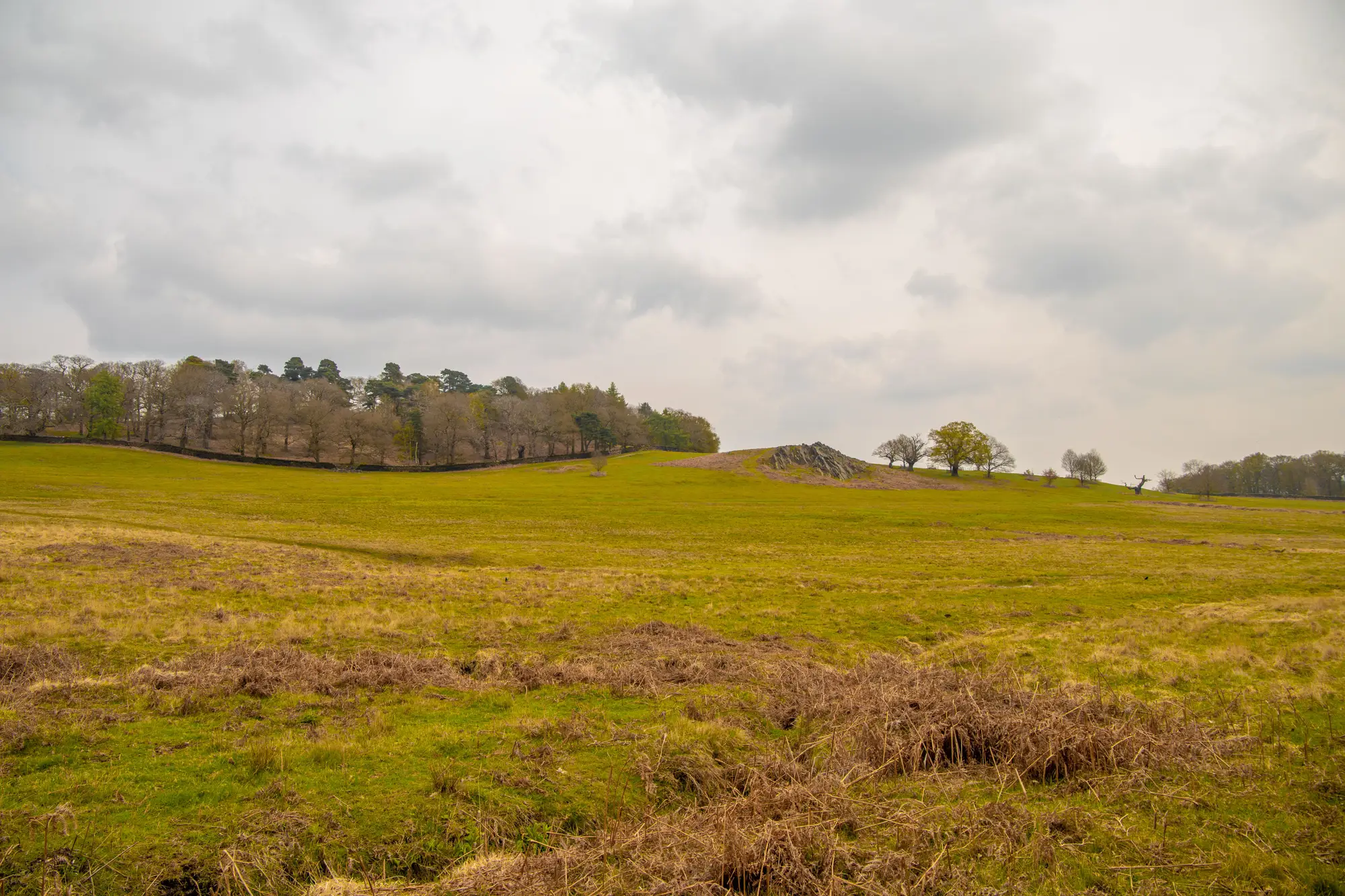 Rough grass over low rolling ground under a grey sky, with brown dry patches in the foreground